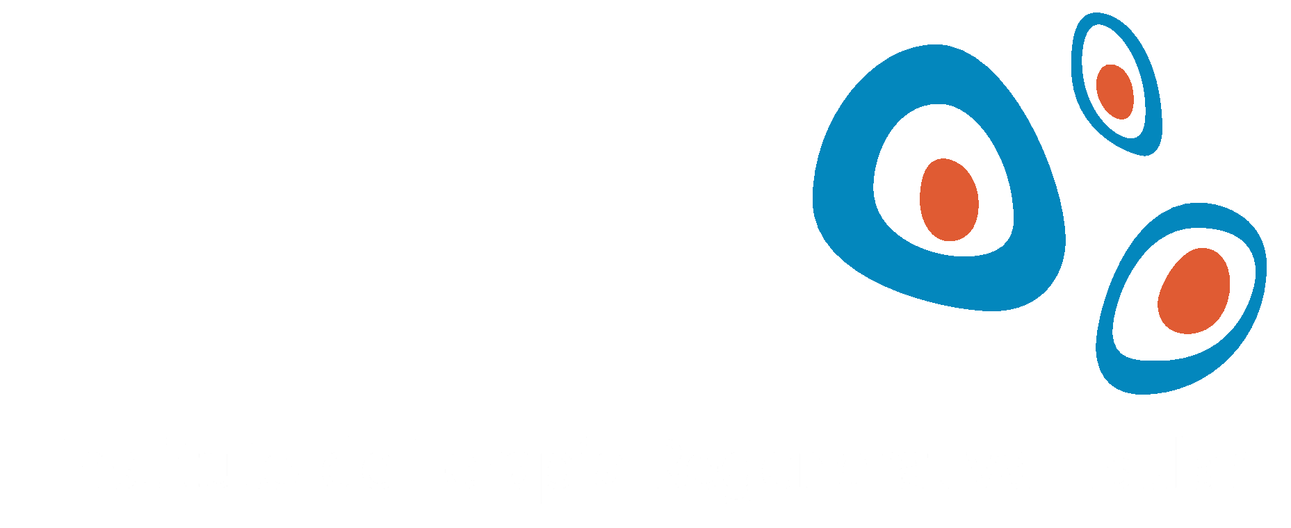 ITRT