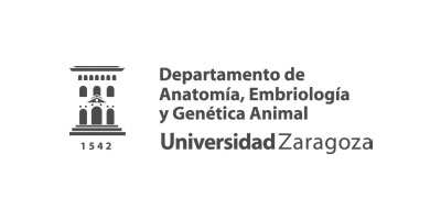 itrt anatomia embrologia y genetica animal