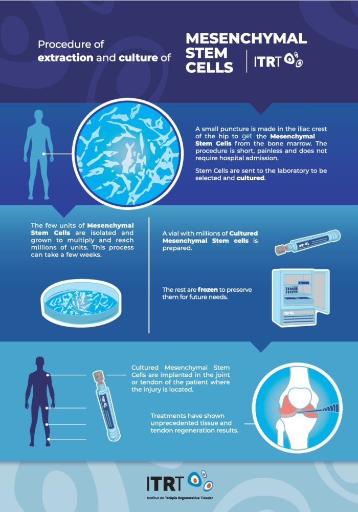 ITRT-Procedure-of-culturing-of-stem-cells-scaled-700x1000